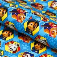 Бумага упаковочная, 70 х 100 см &laquo;Гонщик и Маршал&raquo;, Щенячий патруль