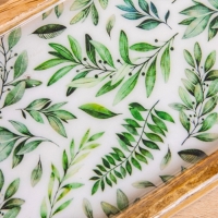 Набор розеток на подносе "Оливковая ветвь" (3 шт) дерево манго 33,5х13х6,5 см