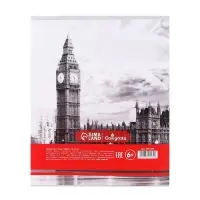 Тетрадь предметная 48 листов в клетку Calligrata, &laquo;Чёрное-белое. Английский язык&raquo;, обложка мелованная, серые листы