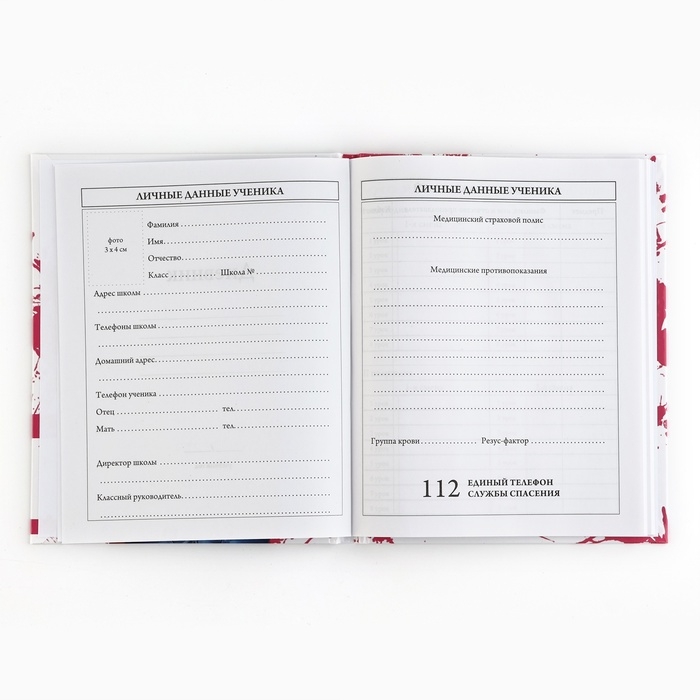 Дневник школьный 5-11 класс, в твердой обложке, 48 л. &laquo;Стиль&raquo;