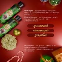 Новогодний подарочный набор косметики «Зимняя вьюга», с ароматом розы и корицы. Зеленая серия Новогодний подарочный набор косметики «Зимняя вьюга», с ароматом розы и корицы. Зеленая серия