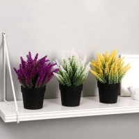 Бонсай в горшке "Лаванда" 9х18 см, микс Бонсай в горшке "Лаванда" 9х18 см, микс