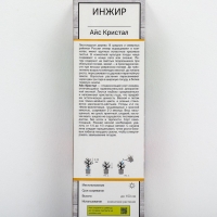 Инжир "Айс Кристал", 1 шт, туба, Весна 2025