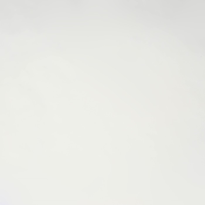 Плёнка для цветов упаковочная матовая &laquo;Белая&raquo;, 0.5 x 8 м, 55мкм