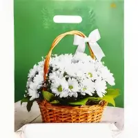 Пакет "Идеальный подарок", полиэтиленовый с вырубной ручкой, 31х40 см, 60 мкм