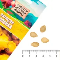 Семена Патиссон "Копейка", 0,6 г