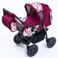 Коляска-трансформер &laquo;Гном&raquo;, пластиковые колёса, оттенки красного, рисунок МИКС