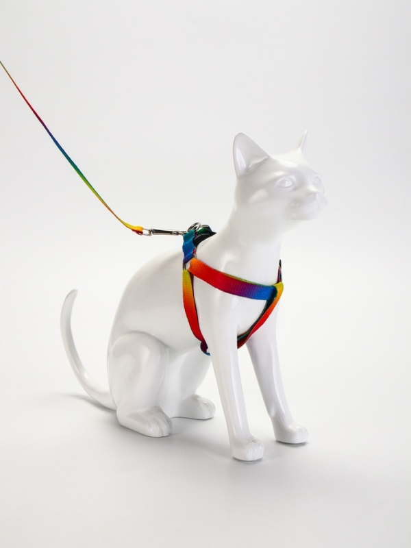 Комплект "Радуга", капрон, поводок 120 х 1,5 см, ОГ 24-34 см, разноцветный