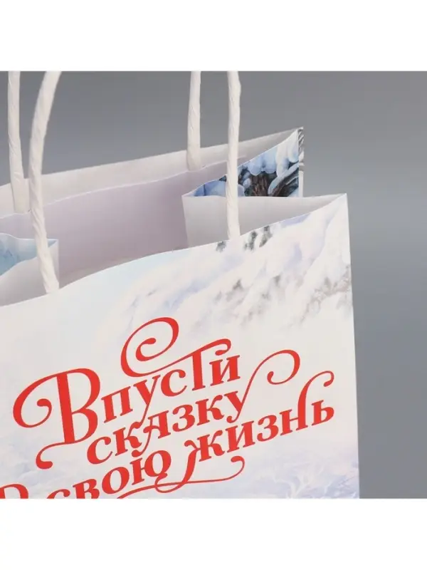 Пакет под бутылку &laquo;Впусти сказку в свою жизнь&raquo;, 13 x 36 x 10 см