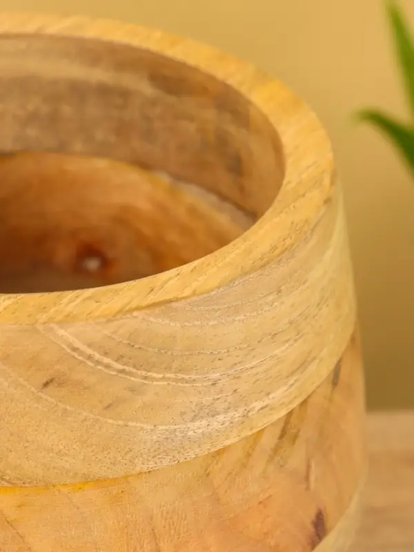 Конфетница с крышкой "Грильяж" алюминиевая с манговым деревом 17,5х17,5х18 см