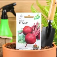 Семена Свекла "Пабло" F1, ц/п, 1 г  серия ХИТ х3