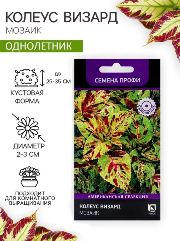 Семена цветов Колеус Визард Мозаик, 10шт