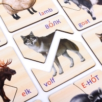 Картинки-половинки &laquo;Животные&raquo;, 15 карточек