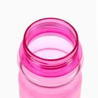 Бутылка для воды пластиковая "Кошка" 500 мл