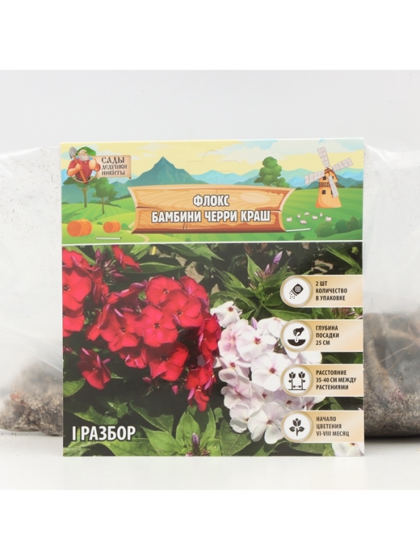 Флокс &laquo;Бамбини Черри Краш&raquo; корневище в пакете с торфогрунтом, р-р I, 2 шт.