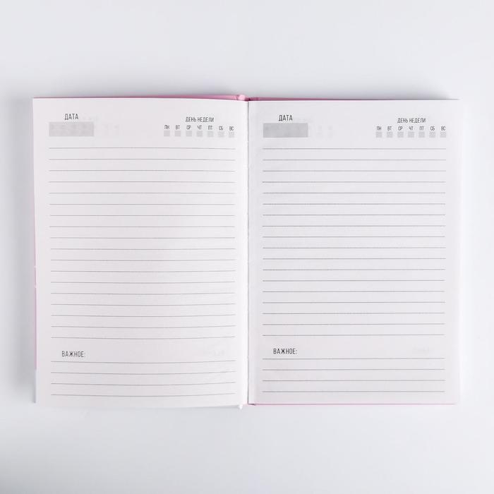 Набор Pandastic winter, палантин (180х68 см) и ежедневник, А5, 80 листов