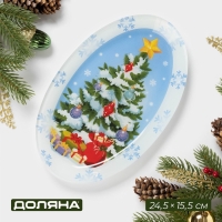 Блюдо стеклянное овальное Доляна «Зимняя сказка», 24,5×15,5 см Блюдо стеклянное овальное Доляна «Зимняя сказка», 24,5×15,5 см