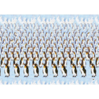 Альбом для тренировки зрения