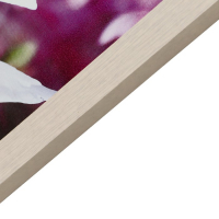 Картина "Лебеди под цветами сакуры" 56*76 см