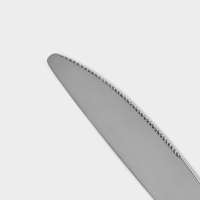 Нож столовый из нержавеющей стали &laquo;Тайфун&raquo;, длина 22,5 см, цвет серебряный