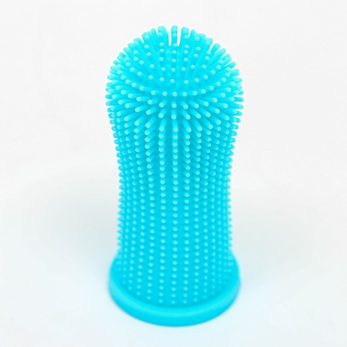 Щётка для чистки зубов животных, 5,5 х 2,5 см, голубая, контейнер 7 х 4 см Щётка для чистки зубов животных, 5,5 х 2,5 см, голубая, контейнер 7 х 4 см