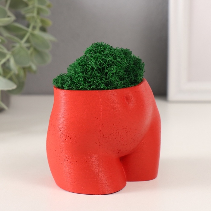 Предмет интерьера "Невинный вид" высота 7см, ширина 8,5см красный со мхом (мох зелен. стаб 1041209