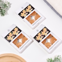 Свечи чайные ароматизированные "Французская ваниль" в подарочных коробках, 18 шт 1050013 Свечи чайные ароматизированные "Французская ваниль" в подарочных коробках, 18 шт 1050013