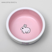 Миска керамическая для кроликов 200 мл 10 х 3,7 см, бело-розовая Миска керамическая для кроликов 200 мл 10 х 3,7 см, бело-розовая