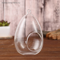 Флорариум "Каплевидная" d отв-5,5 см 9х9х16 см Флорариум "Каплевидная" d отв-5,5 см 9х9х16 см