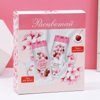 Подарочный набор косметики «Расцветай!», гель для душа и пена для ванны, 2 х 250 мл, ЧИСТОЕ СЧАСТЬЕ Подарочный набор косметики «Расцветай!», гель для душа и пена для ванны, 2 х 250 мл, ЧИСТОЕ СЧАСТЬЕ