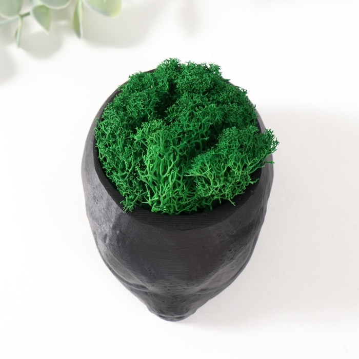 Кашпо бетонное Кашпо бетонное "Пришелец" высота 5 см, d-6 см черный со мхом (мох зелен. стабилизир)