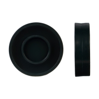 Шайба хоккейная "Мастер К", набор 10 штук Шайба хоккейная "Мастер К", набор 10 штук