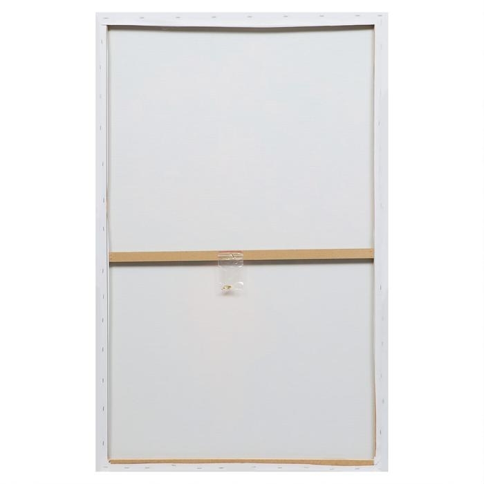 Картина на подрамнике Картина на подрамнике "Крылья" 70*110