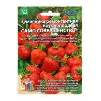 Семена Земляника "Само совершенство" , 10 шт Семена Земляника "Само совершенство" , 10 шт