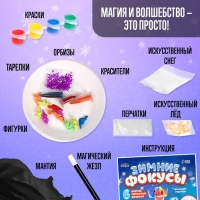 Набор &laquo;Зимние фокусы&raquo;, 6 фокусов