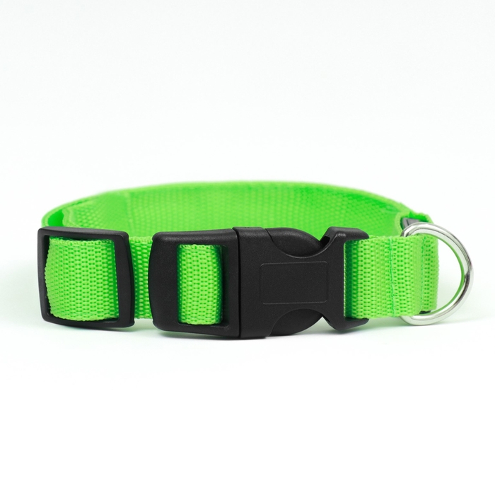 Ошейник с подсветкой Двойная полоса размер S, ОШ 35-43 х 2,5 см, 3 режима свечения зелёный