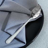 Ложка чайная с гравировкой &laquo;Взрывной характер&raquo;, на подарочной открытке, 3 х 14 см.