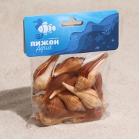 Набор ракушек, 3 - 5 см, 100 г Набор ракушек, 3 - 5 см, 100 г