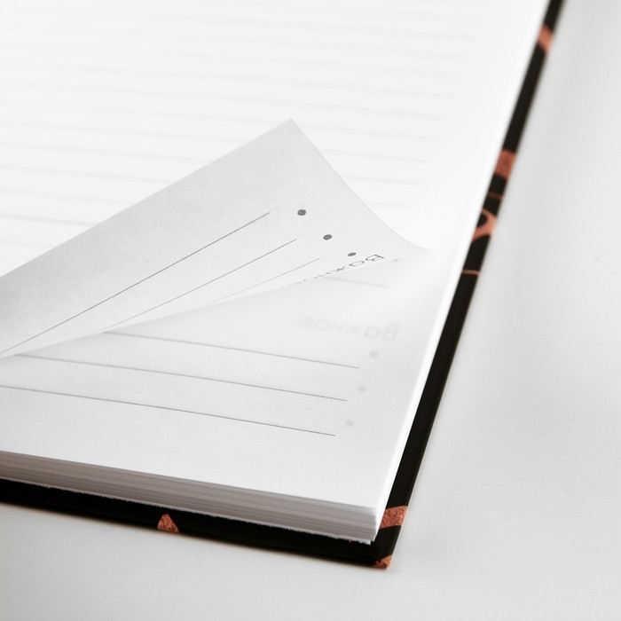 Подарочный набор &laquo;Золотой учитель&raquo;:ежедневник А5 80 листов, ручка шариковая металл 0,8 мм, мыльные лепестки 3 шт