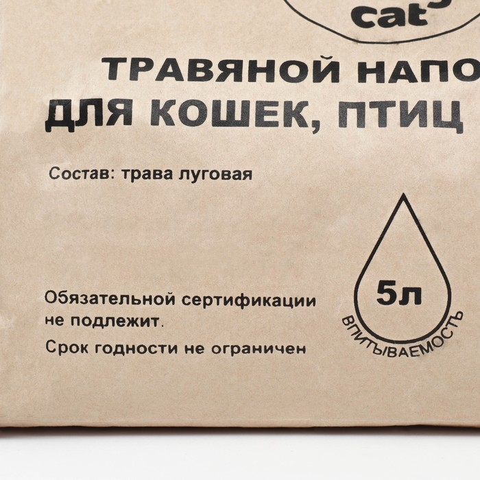 Наполнитель Orange Cat 5л травяной