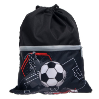 Ранец школьный Стандарт, 36 х 26 х 16 см, + мешок для обуви 40 х 32 см, Сalligrata П "Футбол"