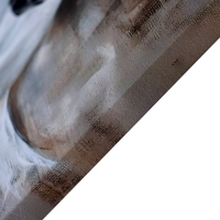 Картина на холсте "Белый конь" 50*50 см Картина на холсте "Белый конь" 50*50 см