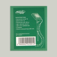 Гирлянда &laquo;Конский хвост&raquo; 10 нитей по 1 м, серебристая нить, 100 LED, свечение мульти, 2 режима, солнечная батарея