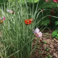 Штекер "Бабочка Атрис" 7х7см/30см, МИКС