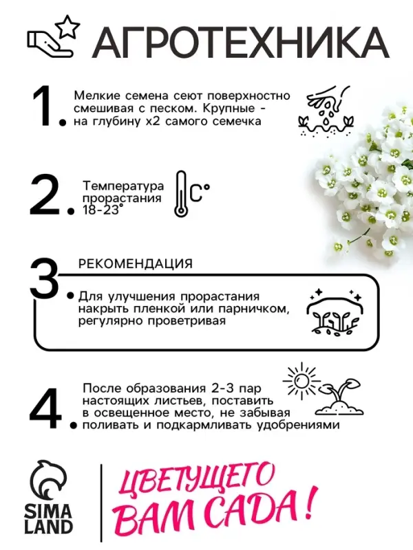 Семена цветов Алиссум "Снежные узоры", 5 шт.