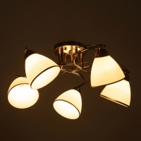 Люстра "Андер" 5хЕ27 40Вт золото 44х44х24 см