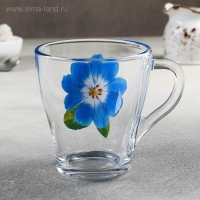 Кружка стеклянная &laquo;Коллекция цветов&raquo;, 250 мл, рисунок МИКС
