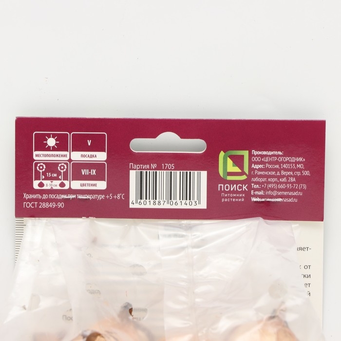 Гладиолус крупноцветковый &laquo;Пёпл Флора&raquo;, луковица цветов в пакете с перфорацией, р-р 10/12, 10 шт.