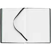 Ежедневник Mobile на заказ, недатированный, черно-зеленый