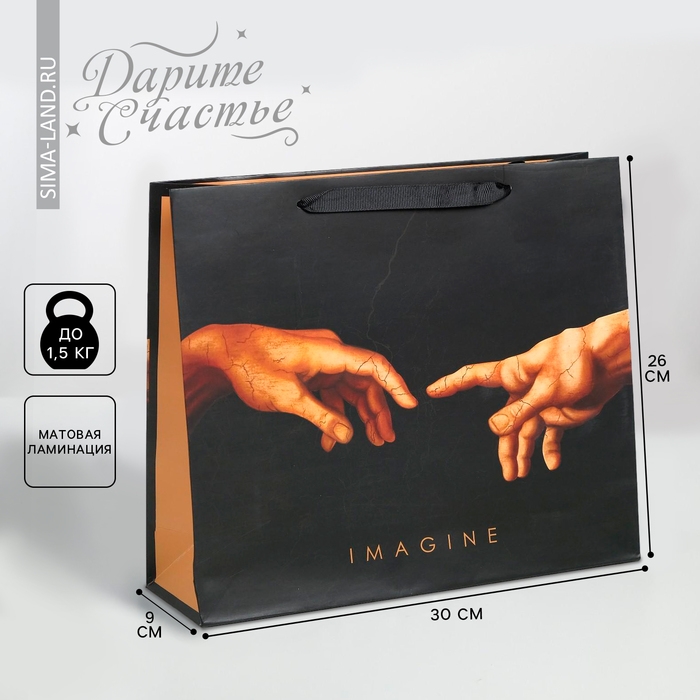 Пакет подарочный ламинированный горизонтальный, упаковка, Imagine, M 30 х 26 х 9 см